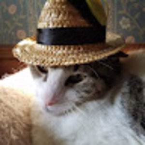 Meet your Posher, Douglas